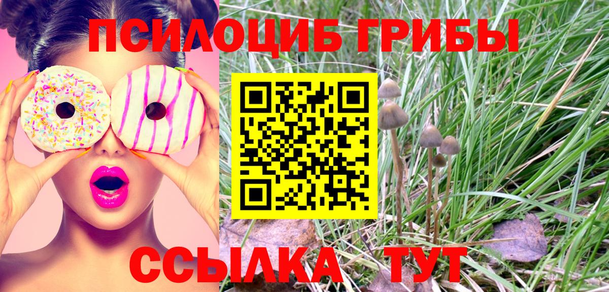 Галлюциногенные грибы Cubensis  Галлюциногенные грибы GOLDEN TEACHER  Чапаевск  где купить наркоту  Вход с VPN 